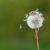 Elizabeth Drane's profile image