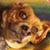 Tito Wilson's profile image