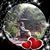 Franci Gerola's profile image