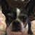 Linda Losapio Nusum's profile image