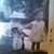 Ellin Wellers Ray's profile image