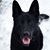 Scott Houser's profile image