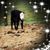 Rowena Childers's profile image