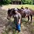 Lori Berning McEntee's profile image
