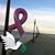 Carol Almeida's profile image