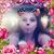 Sabrina Gaytan's profile image