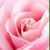 Robin Hanson's profile image