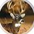 Ray Lynes's profile image