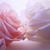 Zafar Iqbal's profile image