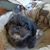 Mary Slaughter Dyroff's profile image