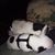 Terri Sickels's profile image