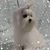 Cathy Bailey's profile image