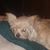 George J. Evenhuis's profile image