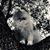 Melanie Crider's profile image