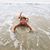 Nicole Watson's profile image