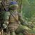 Jesse King's profile image