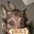 Larry Wilke's profile image