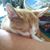 Lou Ann Brent Quick's profile image