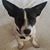 Audrey Johnson Fleming's profile image