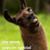 Beverly Irene Stuart's profile image