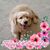 Michelle Dalton's profile image
