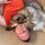 Danny Allen's profile image