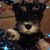 Lynn Elston's profile image