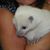 Linda Bean's profile image