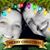 Heather Roxy LaChapelle's profile image