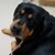 Toni Parkins's profile image