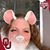 Tina Close Stephens's profile image
