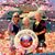 Tracey Fulton See's profile image