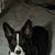 Eileen Maynard Lewellen's profile image