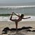 Gina Caccavalla's profile image