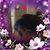 Tammy Kenney Fullerton's profile image