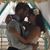 David Lyons's profile image