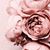 Marcie Ostiguy's profile image