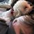 Julie McCray's profile image