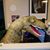 Mary-macy Elizabeth Jackson's profile image