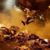 Jose Ramon Coy Atencio's profile image
