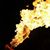 Dallas Saupe's profile image