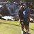 Lynn Cowgill's profile image
