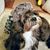 Harley Lee Molinelli's profile image