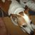 Kathy Pollitt's profile image
