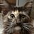 Christine Diedrich's profile image