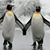 Dawn Wiatrowski's profile image