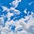 Pamela D. Blackwell-Scott's profile image