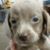 Scherer Mark Brian's profile image