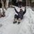 Becca Bly Wong's profile image