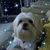 Barbara Clouse Fish's profile image